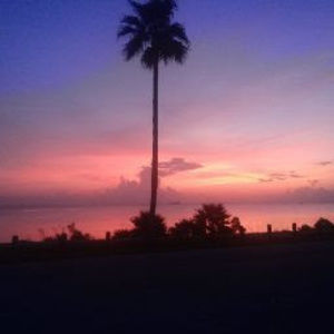 Meet your Posher, Addison